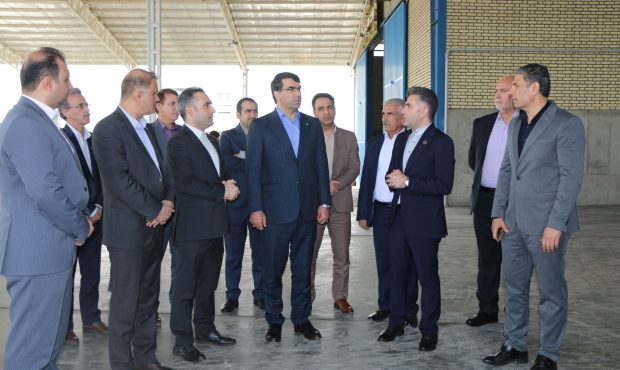 بازدید مدیر عامل بانک توسعه تعاون از دو طرح استان خوزستان