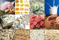 افزایش ۲۸درصدی تامین ارز واردات اقلام اساسی وزارت جهاد کشاورزی
