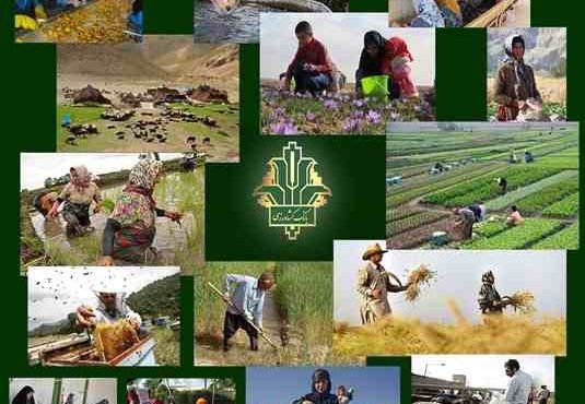 حمایت بانک کشاورزی از اشتغال مددجویان کمیته امداد و بهزیستی