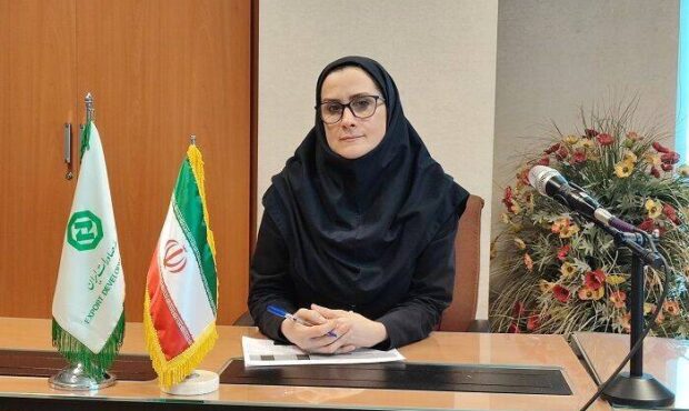 افزایش سهم بانک توسعه صادرات ایران از تسهیلات پرداختی شبکه بانکی