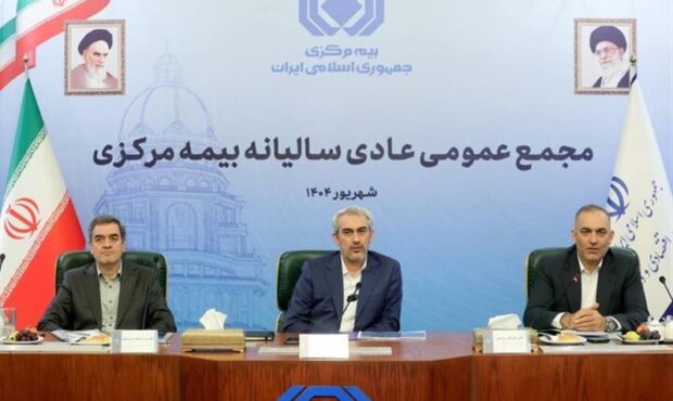 حمایت جسورانه از بیمه دیجیتال و اصلاح فرایندهای نظارتی ضروری است