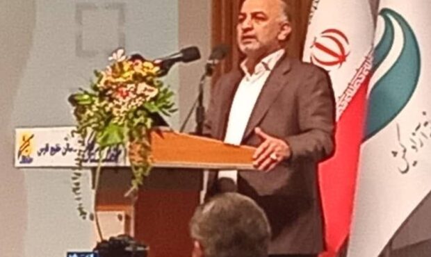 بدون پوشش ریسک، توسعه پایدار ممکن نیست