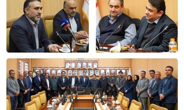 محسن ابراهیمی سرپرست معاونت مدیرعامل در امور فناوری اطلاعات بانک مسکن معرفی شد