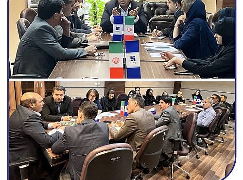 آلتین راهکار نوآورانه بیمه سرمد برای پیوند امنیت بیمه‌ای و مدیریت دارایی